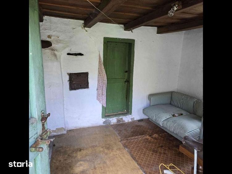 Teren de vis cauta proprietar. - 5