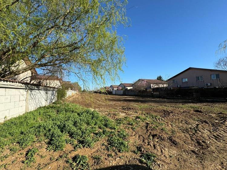 Domnesti, Drumul Targului, teren 1250mp, deschidere 20ml, utilitati. - 4