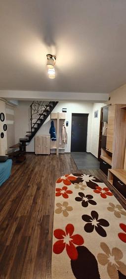 Apartament cu 2 camere, PET FRIENDLY, zona Tatarasi - 4