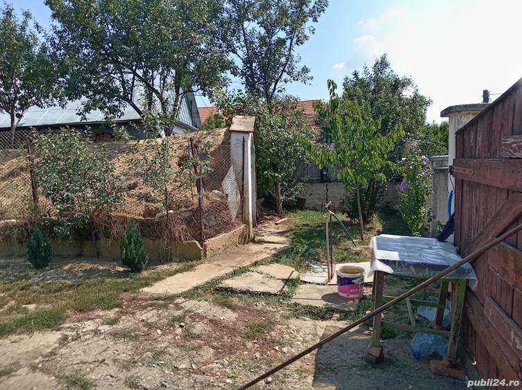 Casa de vanzare in Uileacul de munte cu doua cladiri in curte - 6