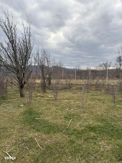 Brebu - teren intravilan 5200mp parcelabil - 25 Euro/mp - 1