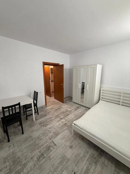 De inchiriat apartament cu o camera in zona Badea Cartan - 3