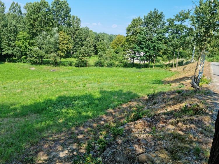 Teren intravilan 28ari, Rus - 5