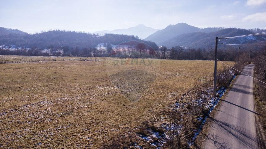 Teren de vanzare  Intravilan 19.341 mp - Cheile Rasnoavei, Parcelabil - 2