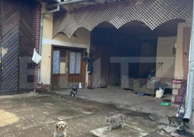 Doua case + anexa, teren 1655mp, Vama Buzaului (Acris) - 8