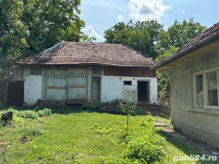 Casa de vanzare in localitatea Vicea - 3