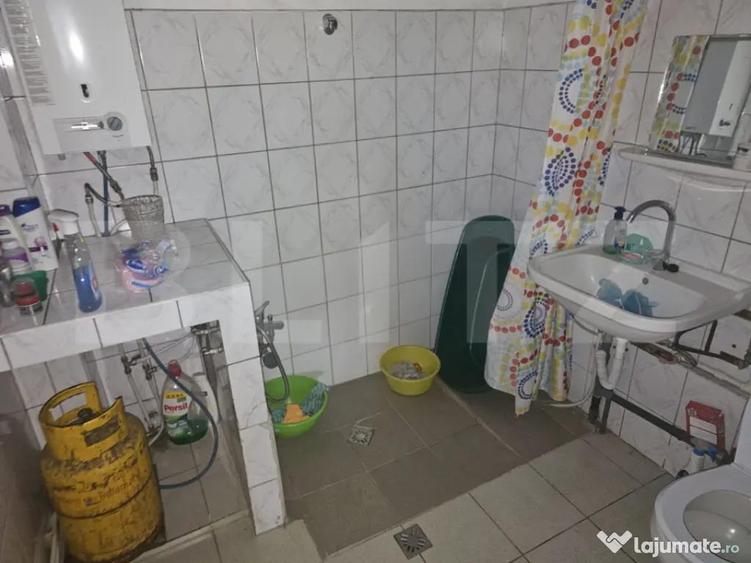 Casa de vanzare - Comuna Dumitra - 7