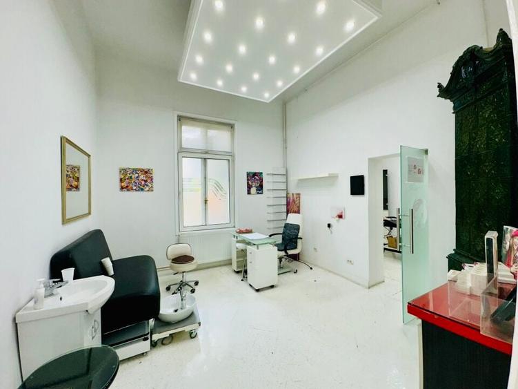 Armeneasca - Pache Protopopescu apartament in vila arhitectura deosebita - 14