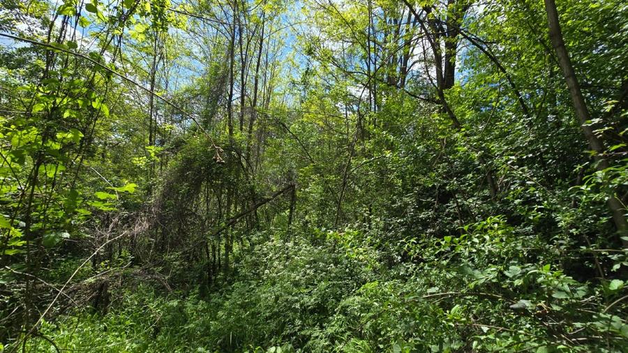 Vand Teren Arefu, Arges zona Cetatea Poenari (Vlad Tepes), Transfagarasan - 6