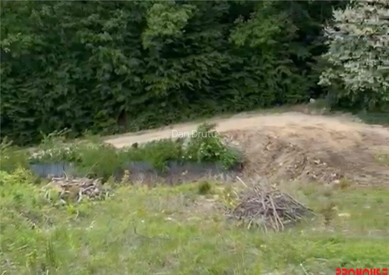 Valea Budului - Teren intravilan. Lac. Padure