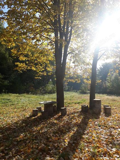 Cabana de lemn Racoasa, judet Vrancea - 4