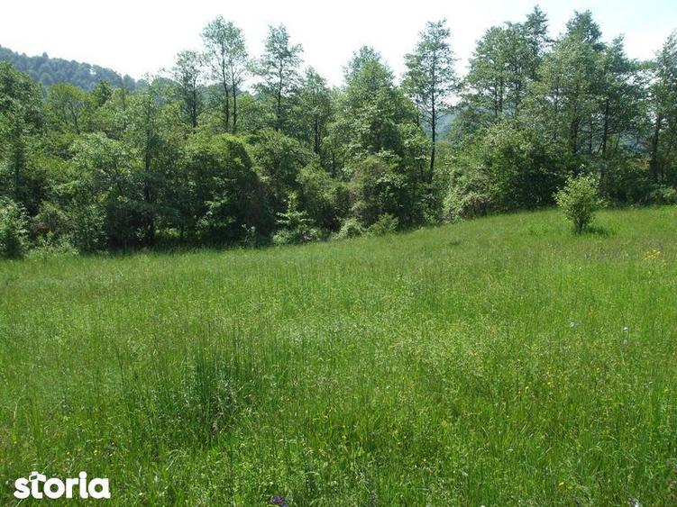 Vand teren intravilan 1632 mp in Poiana Sarata-Oituz - 1