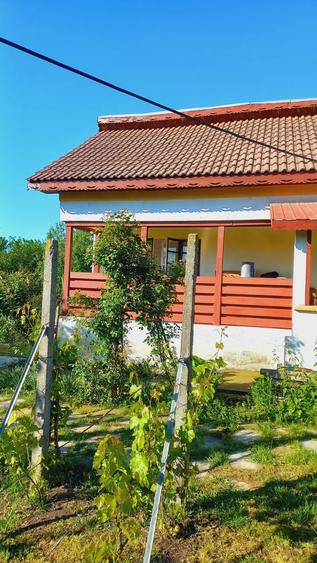 Casa si teren Breasta - 8