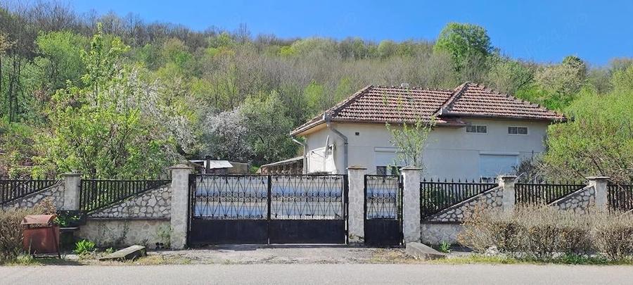 Casa de vanzare sat Gurasada - 8