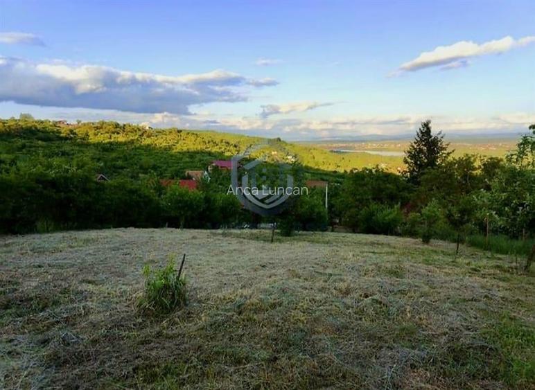 Teren Construcții de 1800 mp, în Podgoria