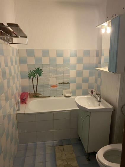 Ap cu 2 camere de vanzare ( piata mica) - 4