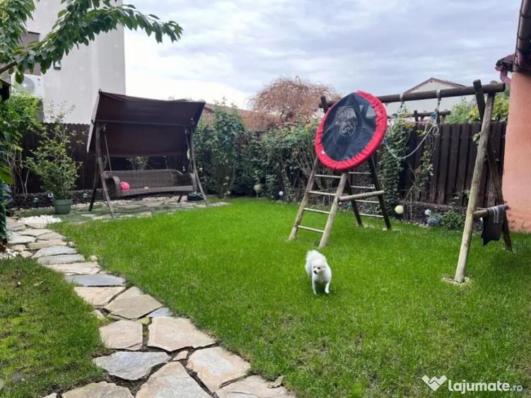 Pipera - Vila duplex 6 camere ?i 4 bai - 7