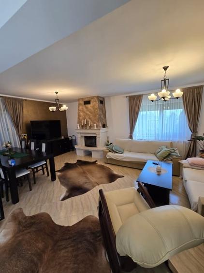 Casa de Vis, Serbanesti - 9