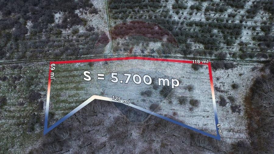 Teren 5,700mp Somcuta Mare / investitie cu potential major - 4