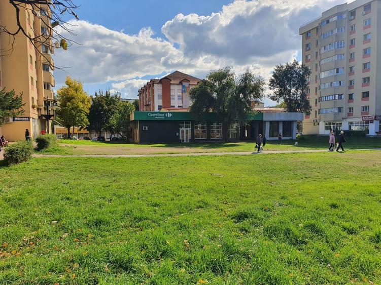 Spatiu comercial Nicolina - 1