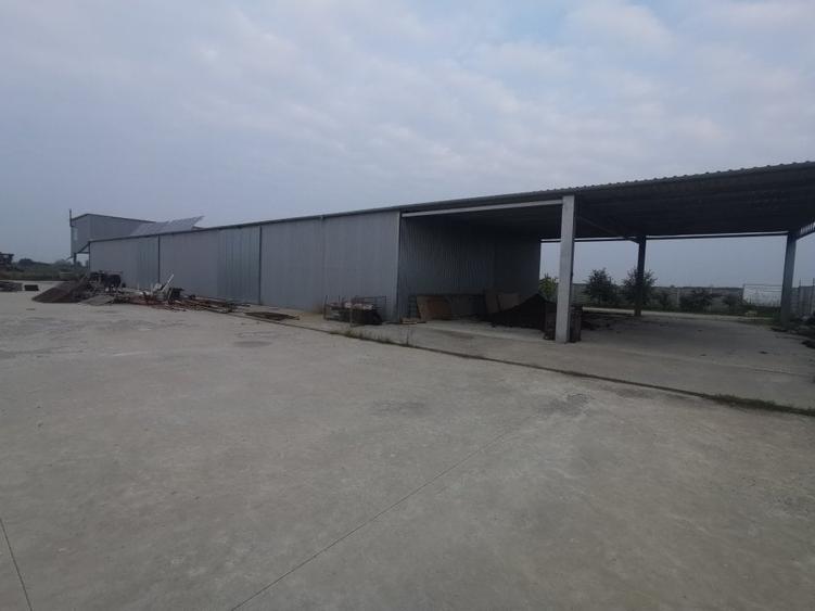 Hala Padureni 300 mp - 8