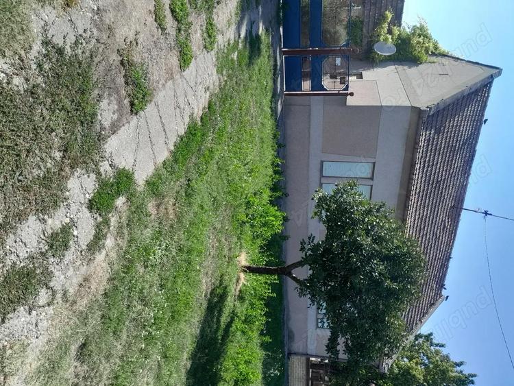 Vind Casa in Serbia 10 km de grani?a cu Jimbolia - 2