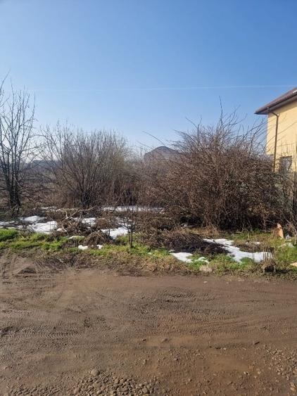 Teren intravilan de vanzare, Jilava, Strada Garii - 4