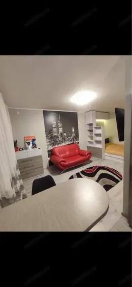 Garsoniera cocheta de inchiriat Zona Ozana - 3