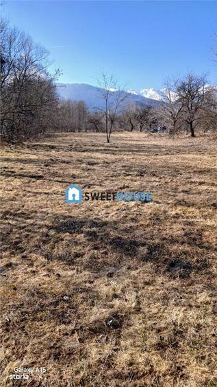 Teren de vanzare la satul de vacanta Dejani - 3