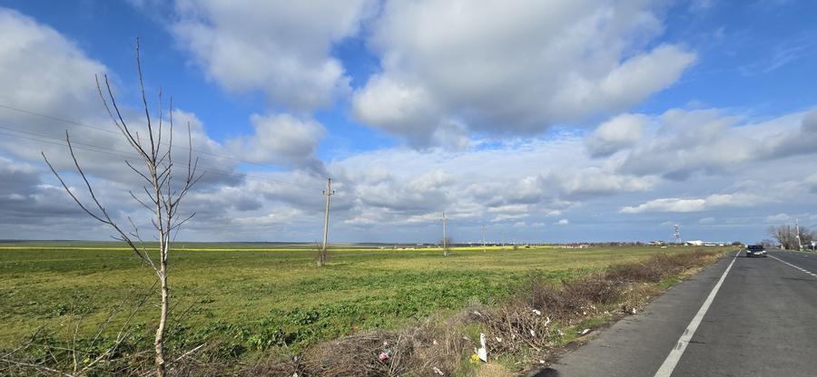 Teren intravilan 3,7 ha in Vama Veche, deschidere la DN39, la 300 ml de granita - 2