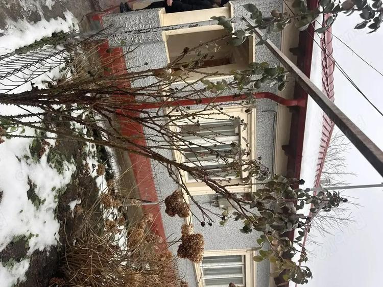 Vand casa in Medgidia - 3