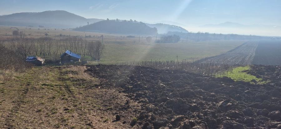 Teren extravilan intrare Bod din Sanpetru pentru investitie sau parcelare - 1