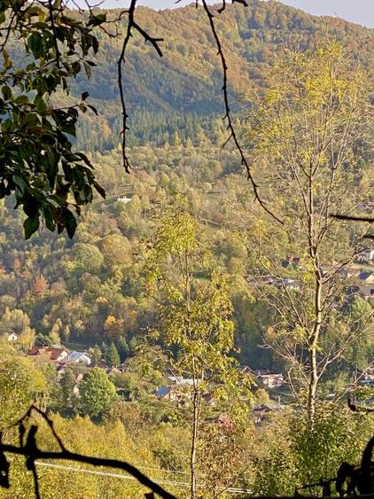 Teren retras panoramic Valea Doftanei 1350 mp panta lina, cu utilitati - 9