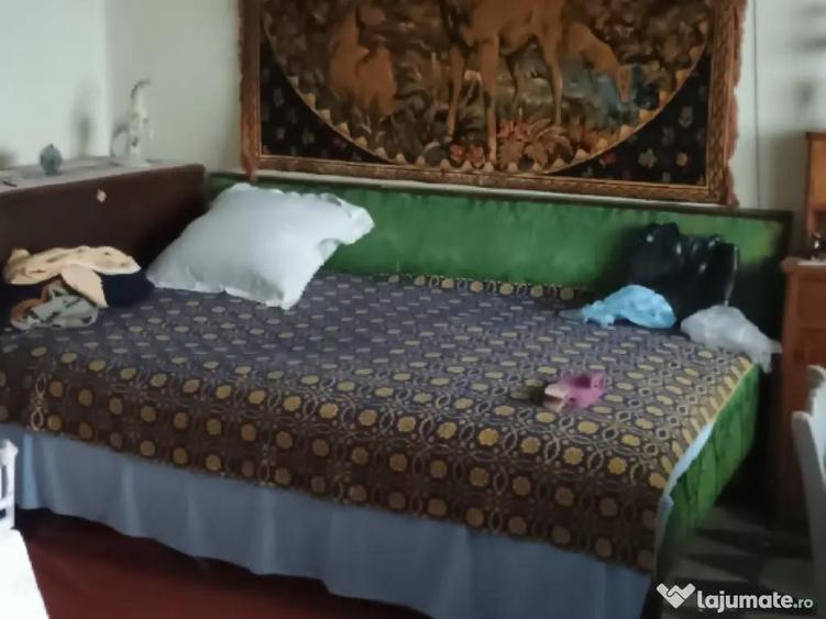 Casa batraneasca Valeanca-Vilane?ti Breaza Buzau - 12