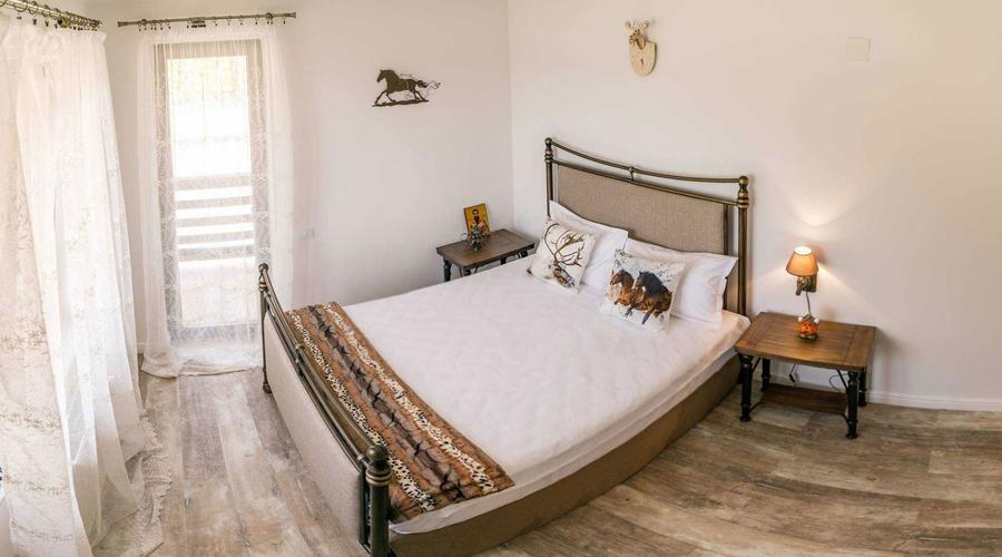 Inchiriez pensiune de Pasti si in weekend in Dragomirna - 7