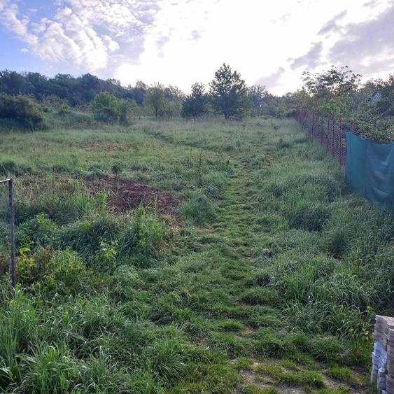 P.F. Teren intravilan Barnova, sat Cercu + autorizatie duplex - 4