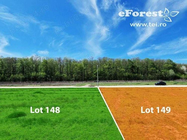 Loturi de teren, eForest, langa doua paduri, acces din DN1A, Crevedia - 8