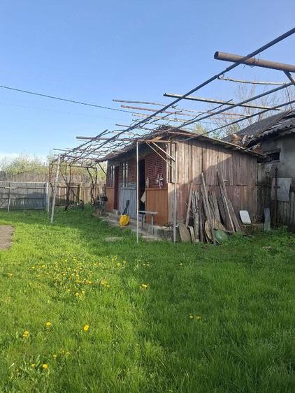 casa batraneasca si teren - 3
