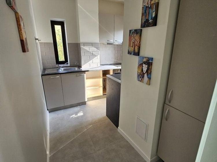 Apart 2camere , 2 bai si terasa zona 1Mai/ Domenii - 14