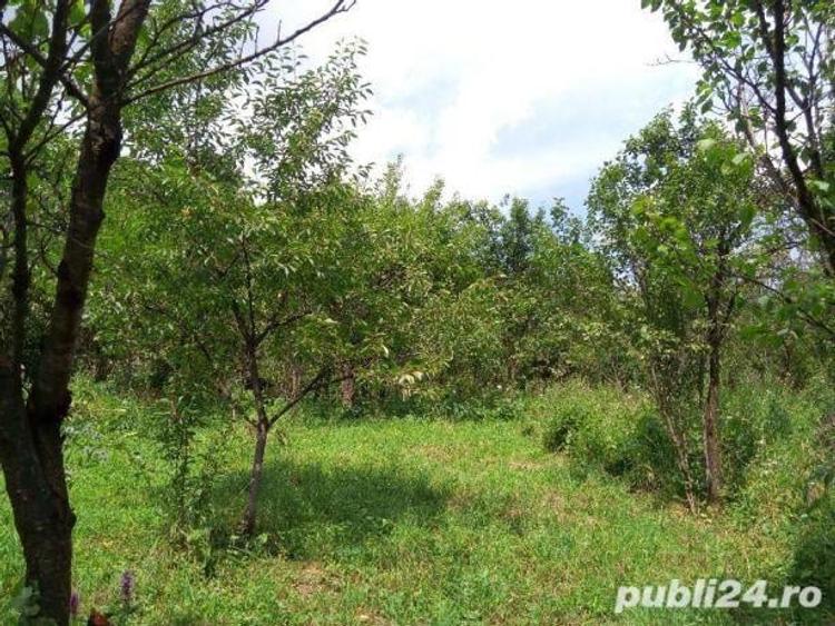 Vand teren intravilan in Campina - 1