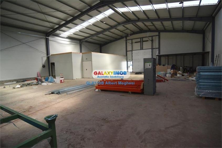 Vanzare Hala Depozitare 565 mp Afumati - 9