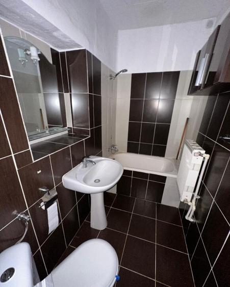 Casa 2 corpuri Jamu Mare, Timis - 2