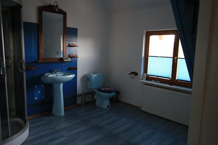 Vila cu 6 camere + 2 case + bazin inot+ 5.934 mp teren  com. Chichis - 13