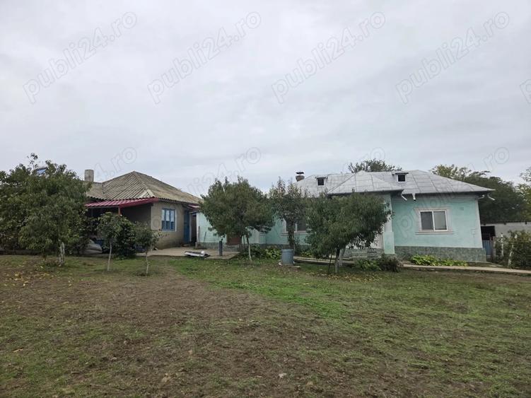 casa cu teren 3000 mp de vanzare Mahmudia - 2