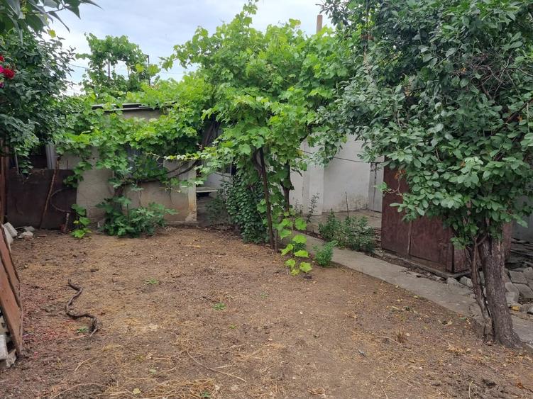 Vând casă în zona Viile Noi 400 mp teren și construcție 110 mp - 6