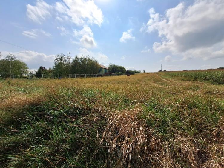 Oferta de vanzare teren intravilan, Tureni, 5800 mp. - 2