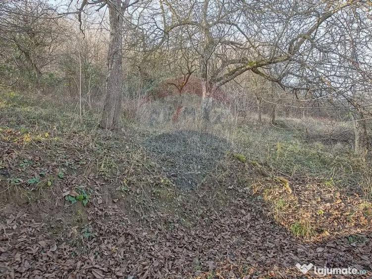 Comision 0! Casa cu teren de 1000mp in inima Brasovului - 5