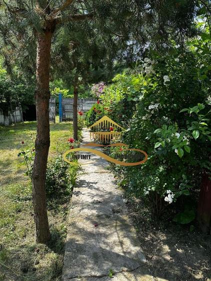 Casa batraneasca cu 2ha de teren de vanzare in sat Balaia / Bacau - 24