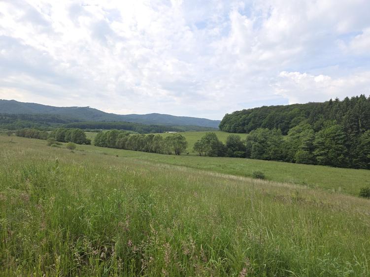 Teren de vanzare in Vladeni comuna Dumbravita judetul Brasov - 1