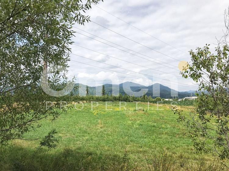 Teren intravilan in Baia Mare de vanzare, 48 arii , strada Sebesului - 3